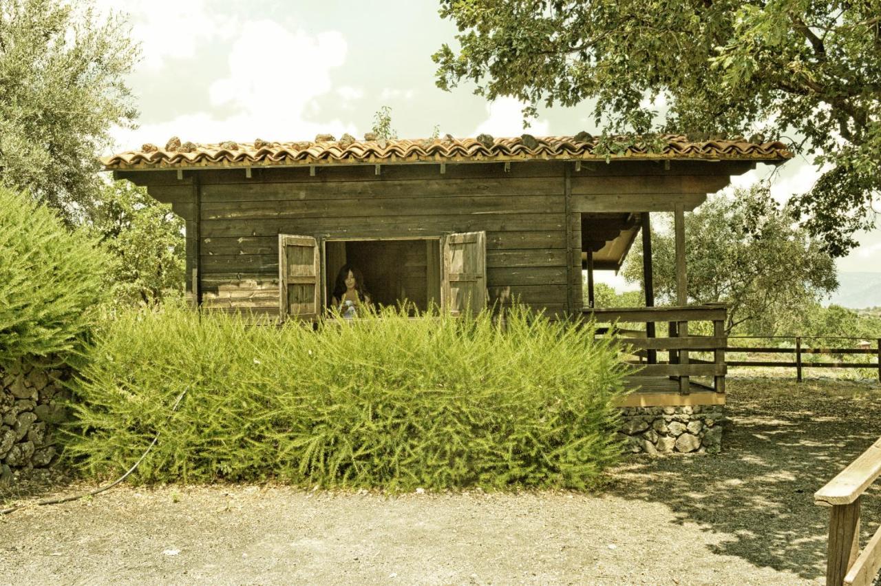 Agriturismo Kikajon ลิงกัวกลอสซา ภายนอก รูปภาพ